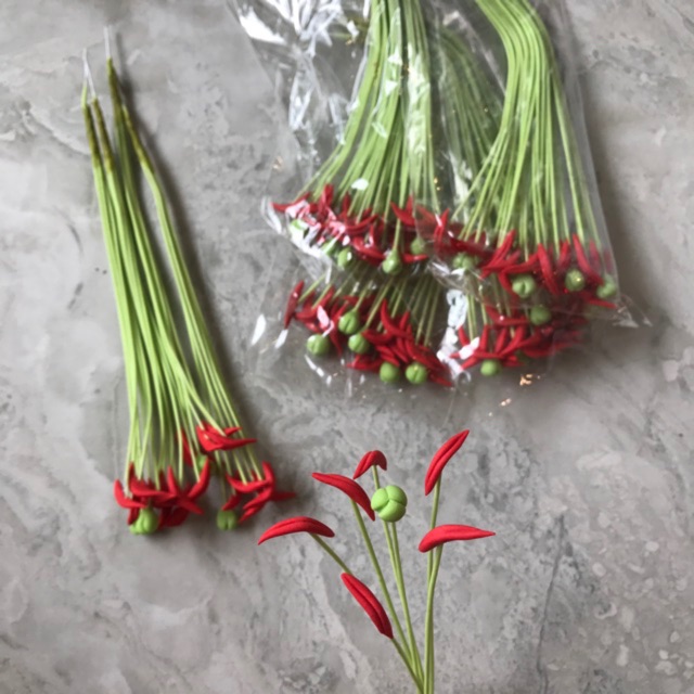 NHỤY HOA LILY BỘ
