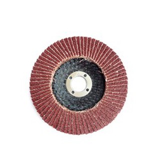 NHÁM XẾP CÁ SẤU LỐC 10 CÁI