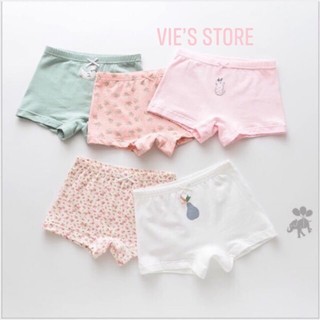 Combo 10 Quần lót dạng đùi - hộp 10 quần chất xịn