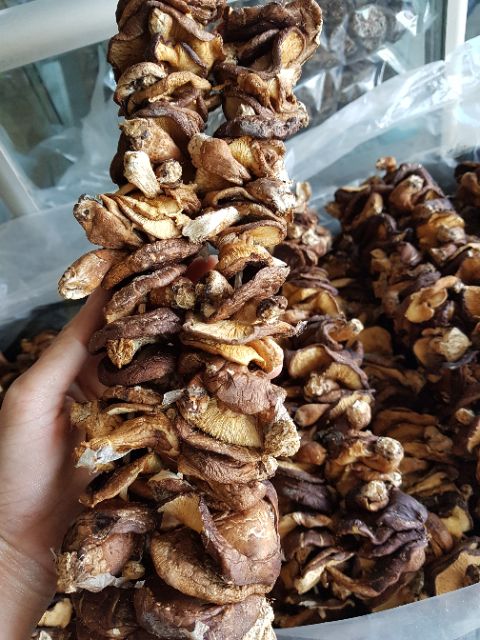 500g Nấm Hương Rừng Nấm hương xiên dây đặc sản tây bắc