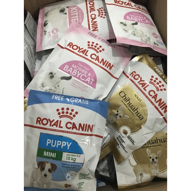 Hạt Royal Canin cho chó mèo các loại gói 50g