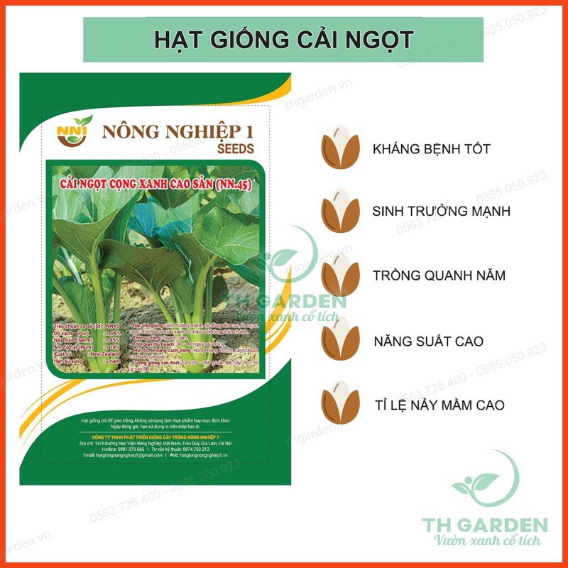 Hạt giống cải ngọt cọng xanh - gói 20gam