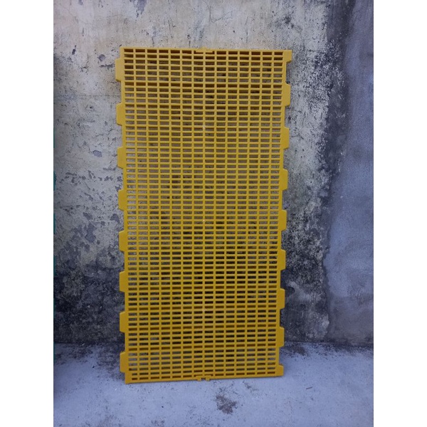 combo 5 sàn ngan gà vịt