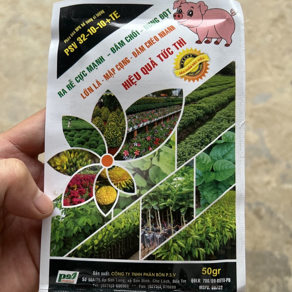 Phân bón 32-10-10+te bung chồi đâm tược nhú đọt cực nhanh, mạnh rễ xanh cây mập đọt siêu bung chèo