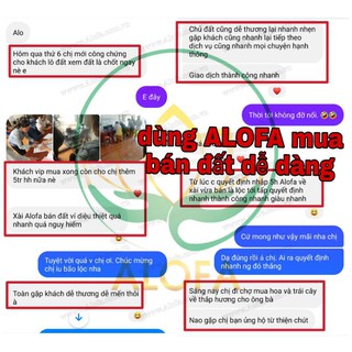 Bột phong thủy Alofa
