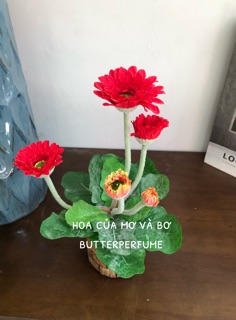 Chậu Hoa Đồng Tiền (Lụa Cao Cấp) Cao 25cm