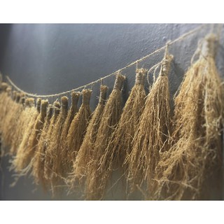 Rễ cỏ Vetiver trang trí