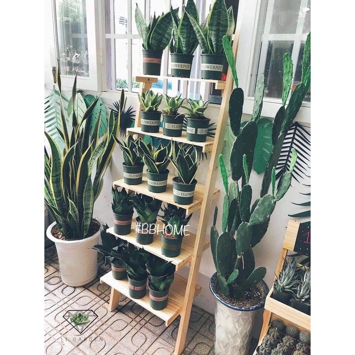 Chậu nhựa vuông V16 trồng hoa cây cảnh văn phòng kèm đĩa hàng loại 1 KT 16x16x16cm.