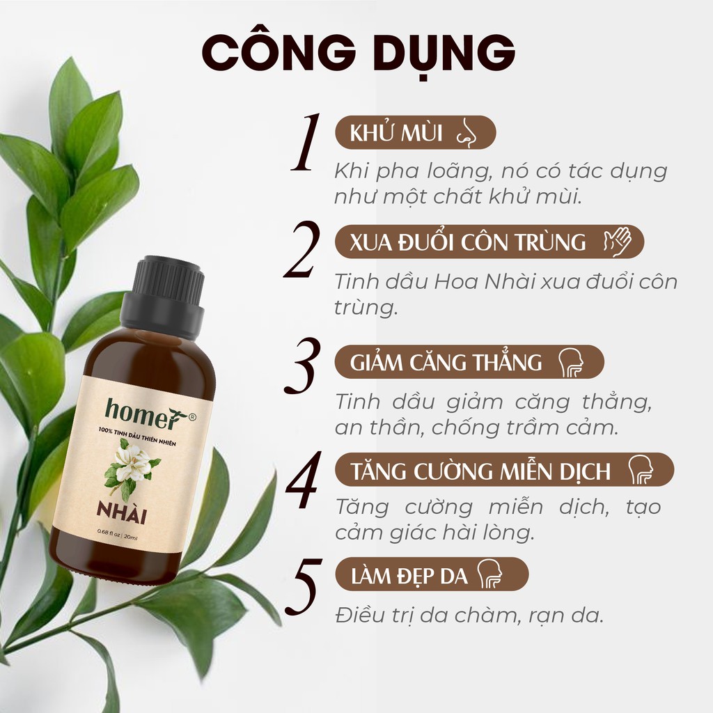 Tinh dầu Hoa Nhài Anh Homer | Jasmine Essential Oil | Nhập khẩu nguyên chất