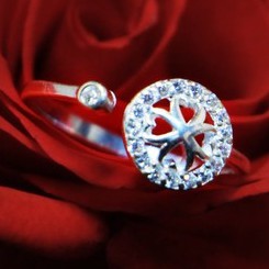 NHẪN BẠC 925 hoa may mắn - Nhẫn hở freesize