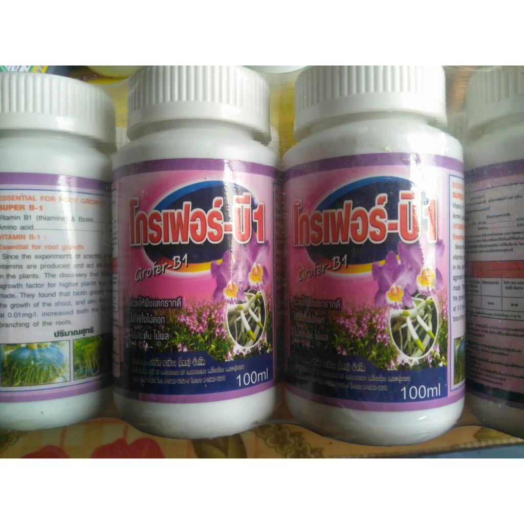 Phân bón  Vitamin B1 Thái 100ml