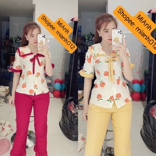 BỘ ĐŨI TIỂU THƯ TAY NGẮN QUẦN DÀI