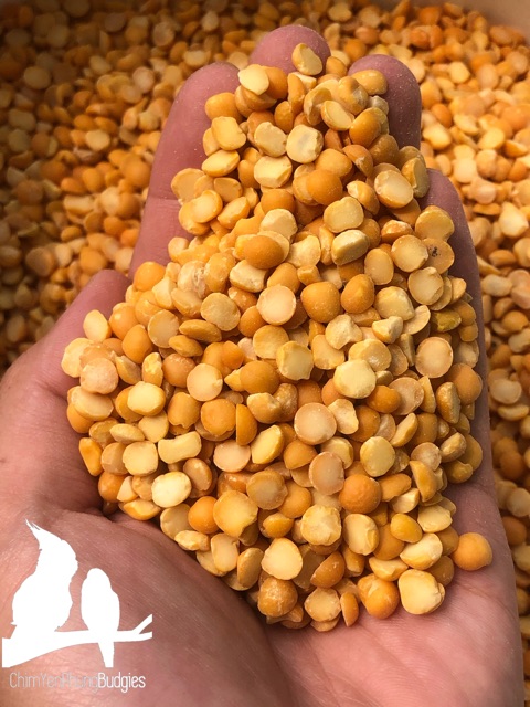 1kg đậu lăng vàng