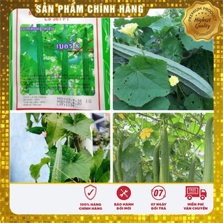 Hạt Giống Mướp Khía Thái Lan(10 hạt)