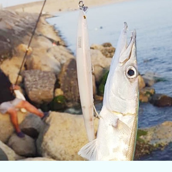 Mồi câu cá giả KINGDOM dạng nổi/ chìm 180mm 29/ 33g chuyên dụng