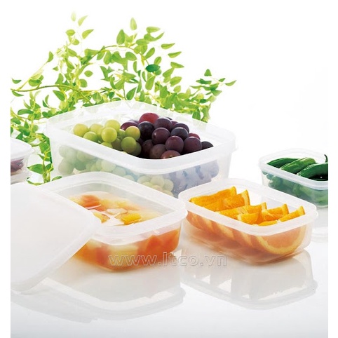 Set 3 hộp đựng thực phẩm 300ml Fit in Pack Nhật - Tạp hoá mint