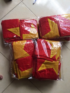 Cờ việt nam
