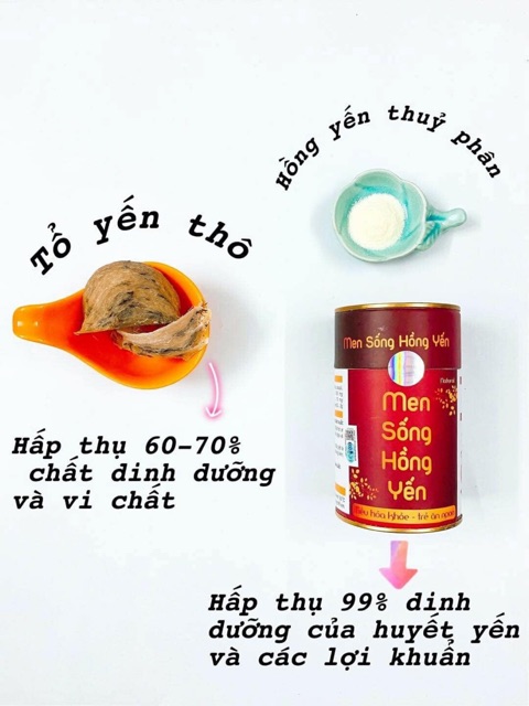 Men Sống Hồng Yến Cầu Bình An Hộp 20 Gói Men 3gr | BigBuy360 - bigbuy360.vn