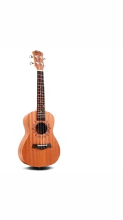 Ukulele BWS 23 full pk