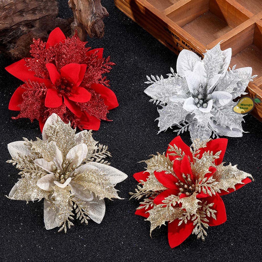 Hoa Trạng Nguyên Nhiều Màu Trang Trí Noel Giáng Sinh