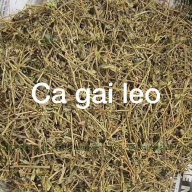 Cà gai leo khô ( gói 1kg ) bổ gan, điều trị các bệnh về gan