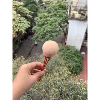 Chổi phủi bụi nail cán dài.