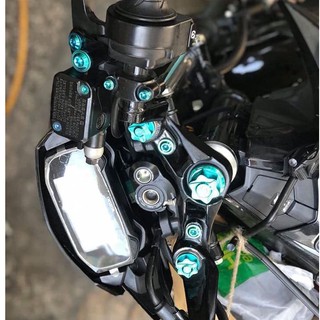 Full combo 14 con ốc GR5 Titanium cho dàn đầu và chảng ba Raider Fi, Satria FI