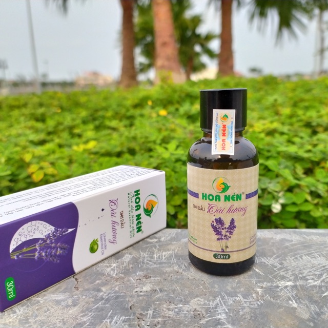 Tinh Dầu OẢI HƯƠNG Lavender nguyên chất 100%_Tinh dầu xông phòng giúp giấc ngủ sâu hơn