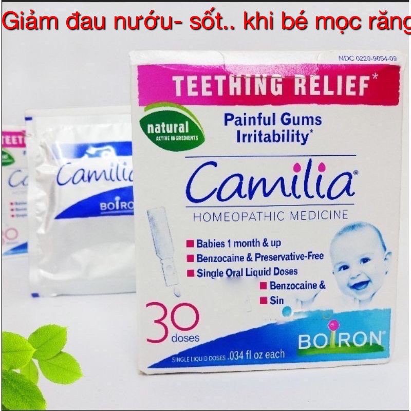 Tép uống Camilia Teething mọc răng - Mỹ