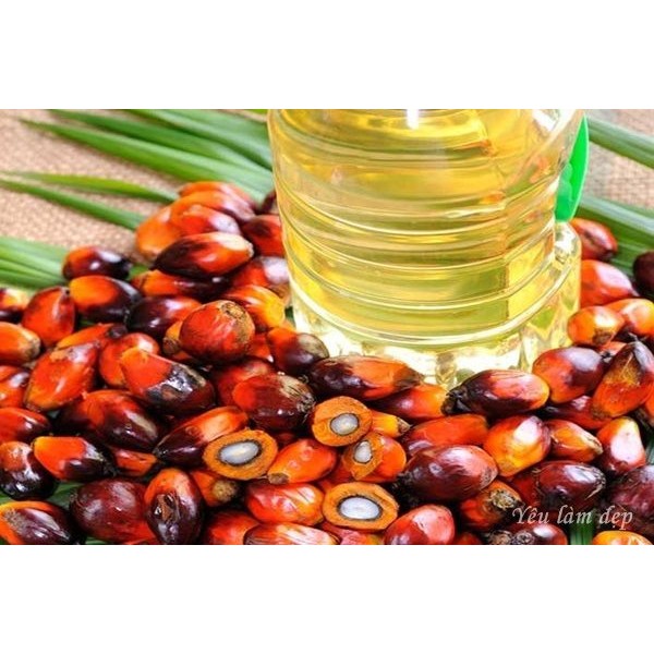 Dầu Cọ 1L Nguyên Chất - Palm Oil - Nguyên liệu mỹ phẩm