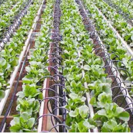 1 Mét Dây tio đen dẫn nước chống rêu mốc Phi 6, phi 8, phi 10
