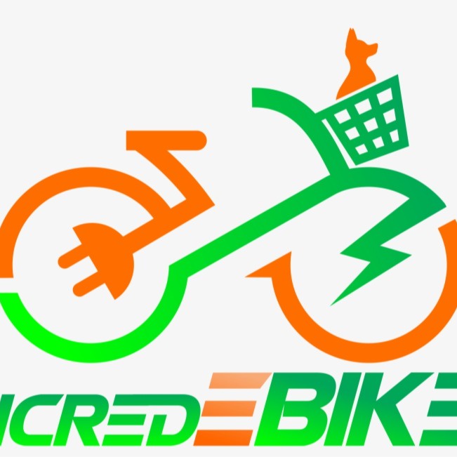 Electric Bike GIA_HUY