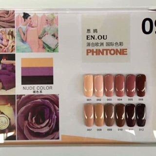 Set sơn gel Enou 12 mầu