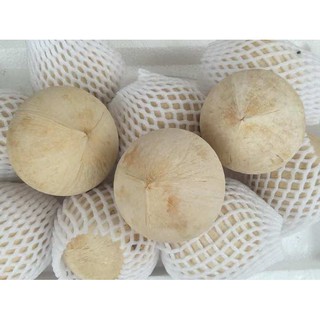 Dừa xiêm gọt vỏ combo 5 trái