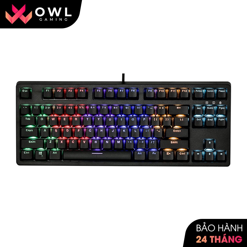 Bàn phím cơ E-Dra EK387 Rainbow, EK387 RGB TKL (Bản 2021) - Bảo hành 24 tháng