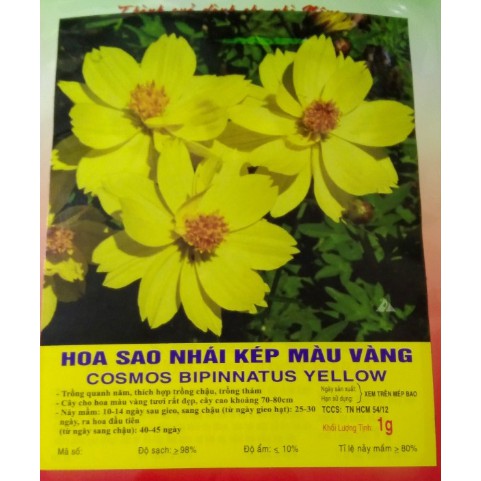 HẠT HOA SAO NHÁI KÉP MÀU VÀNG - GÓI 1 GRAM