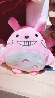 Túi sưởi hình thú