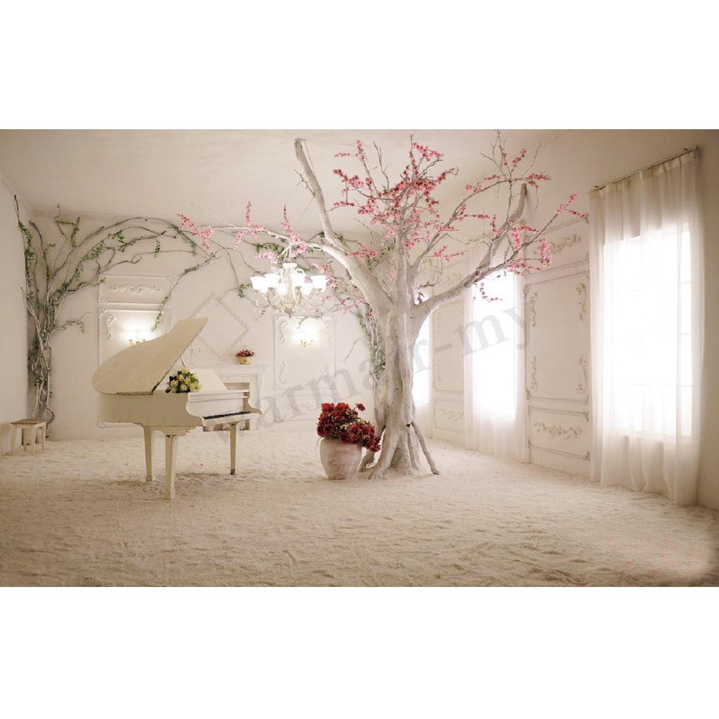 Backdrop cho studio loại phong cảnh trong nhà