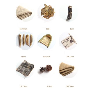 S2 - SET CHỤP ẢNH SẢN PHẨM CỦI KHÔ