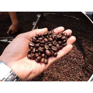 CÀ PHÊ NGUYÊN CHẤT, CÀ PHÊ MỘC ARABICA