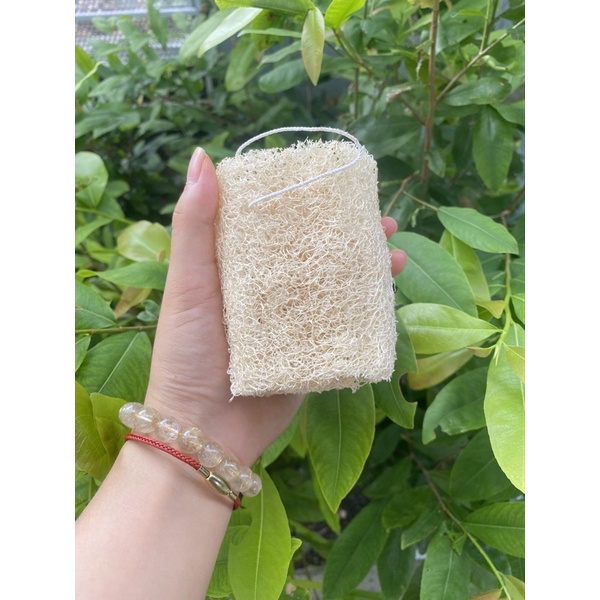 Bông Tắm Xơ Mướp Tẩy Tế Bào Chết -Xơ Mướp Tự Nhiên- Rửa Mặt- Rửa chén- Xơ Mướp Tắm Sạch Da -Xơ To Đẹp