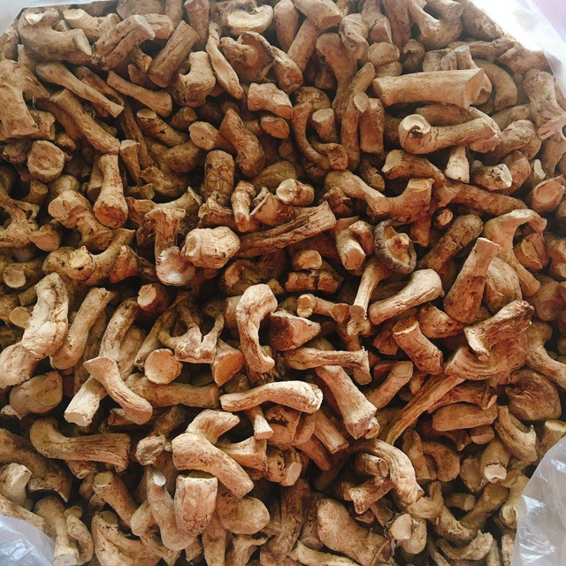 500g Chân Nấm Hương sạch Sa Pa loại 1 ngon, bổ, rẻ Rk83