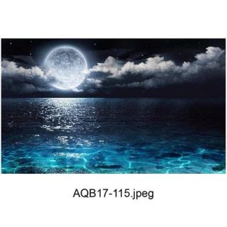 Tranh dán bể cá 3D( kt 50x40; 60x40cm - 70x50 - 80x 40cm - 100x50cm - 120x50)