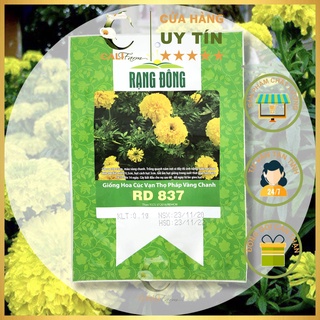 Hạt Giống Cúc Vạn Thọ Pháp Vàng Chanh RD 837