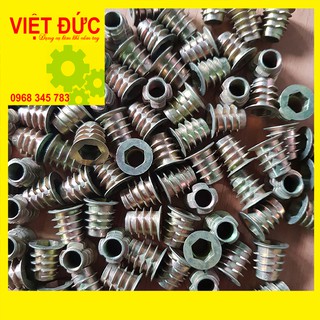 Túi ốc cấy gỗ phi 8 - 100 con