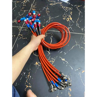 dây dầu hell thái đầu earl