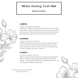 Nến thơm Classic - ADORA