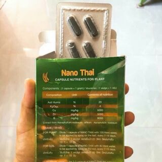 Phân bón vi lượng - nano thai