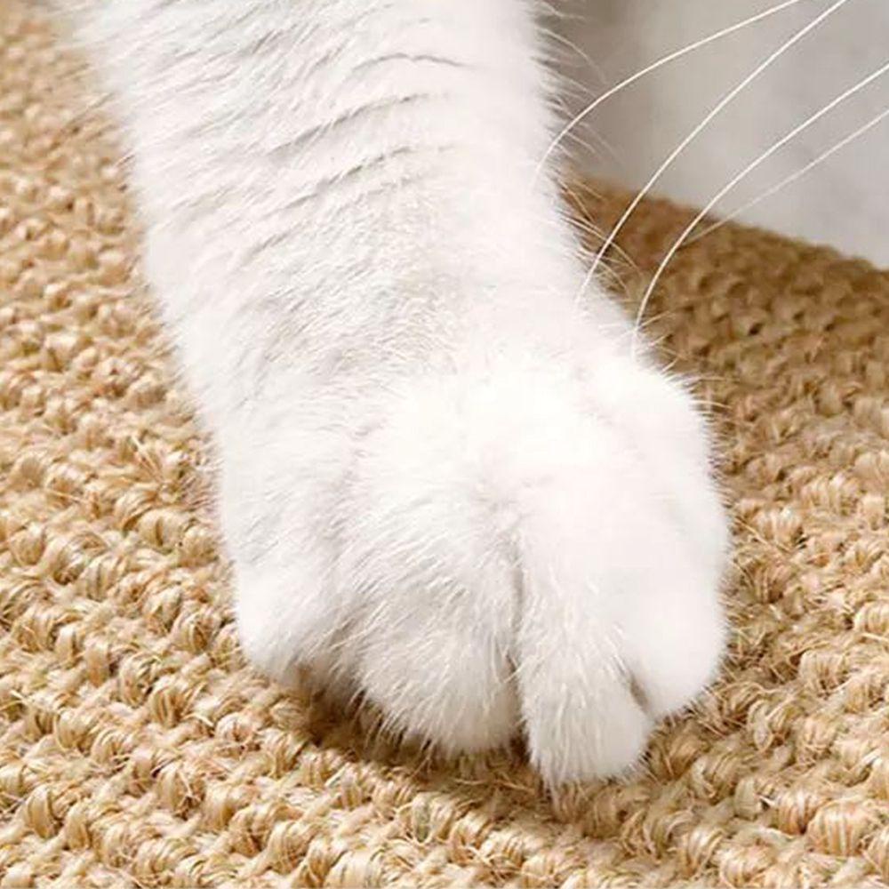 Bóng Cào Móng Dành Cho Mèo Cưng