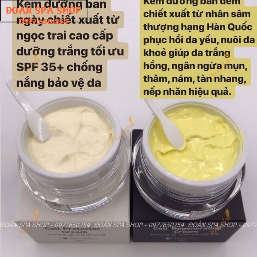 Kem Dưỡng Da Ban Ngày Dr Shee